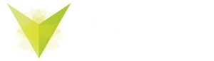 Visionary Food Solutions